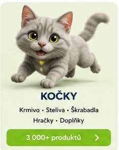 Kočky