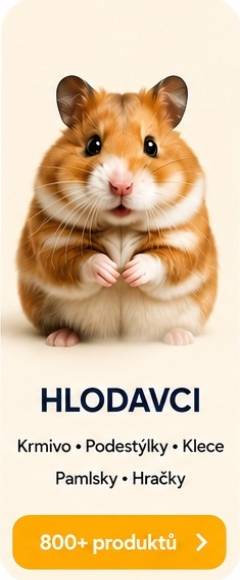 Hlodavci
