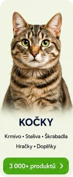 Kočky