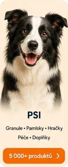 Psi