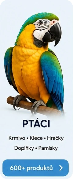 Ptáci