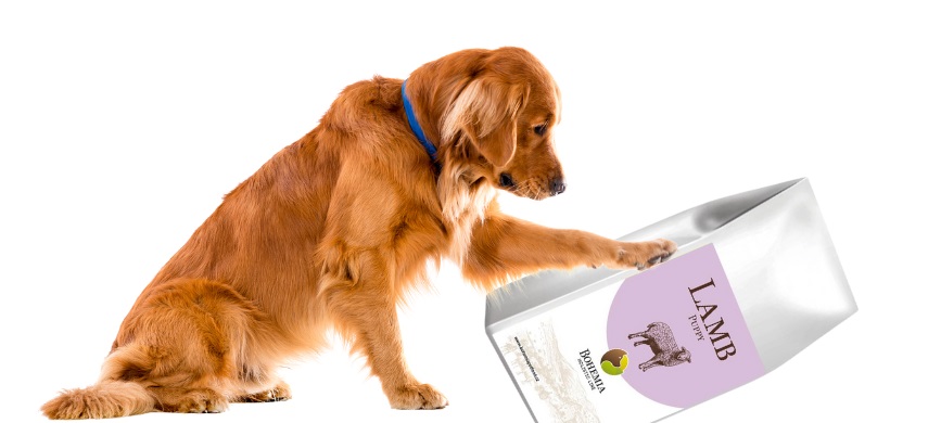 HOLISTICKÁ RECEPTURA