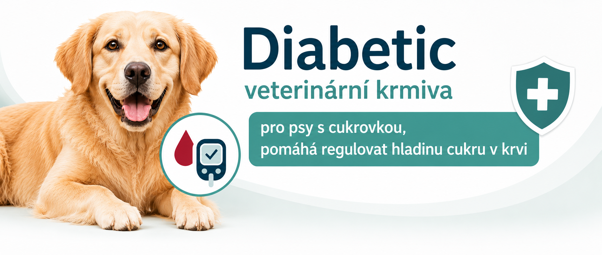 DIABETIC