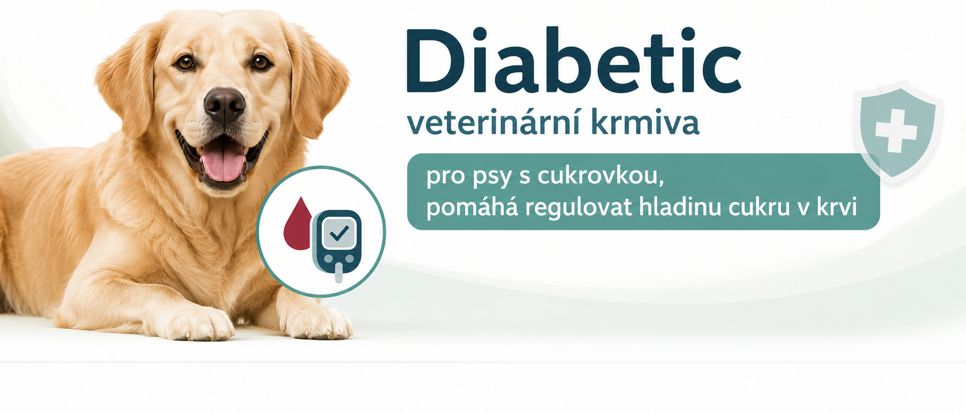 DIABETIC