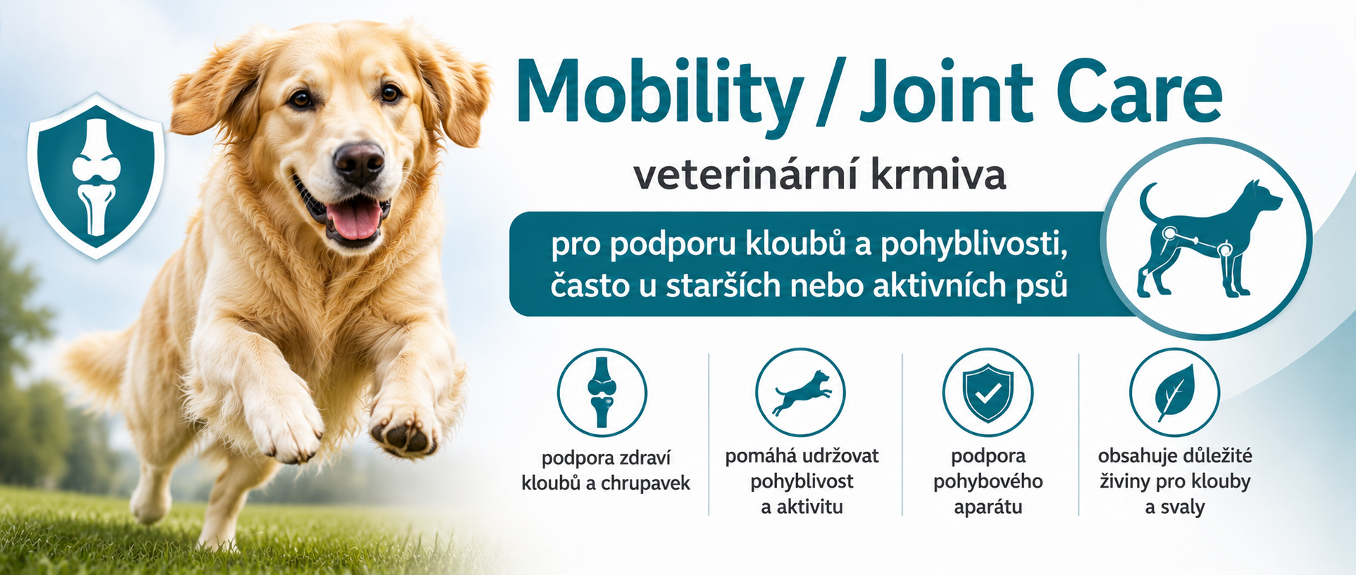 Mobility / Joint Care