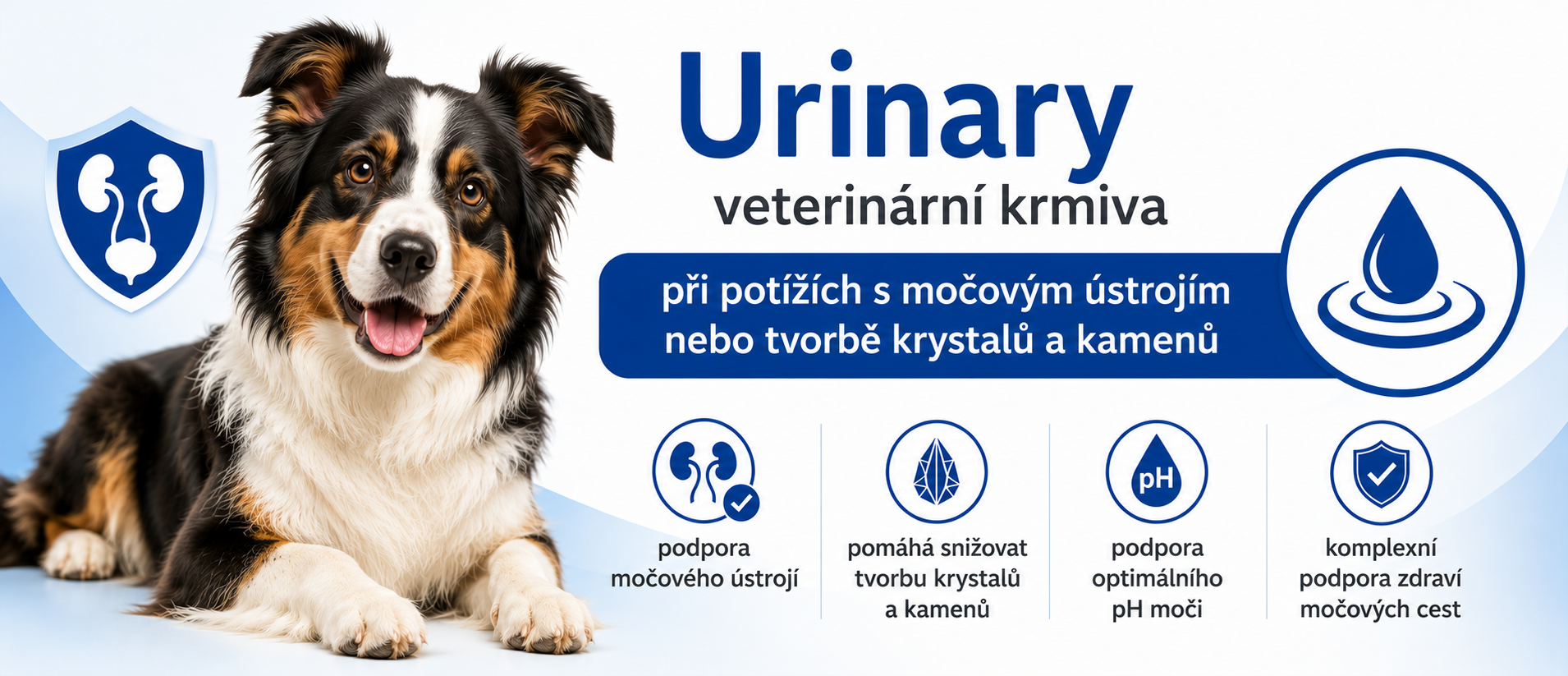 URINARY