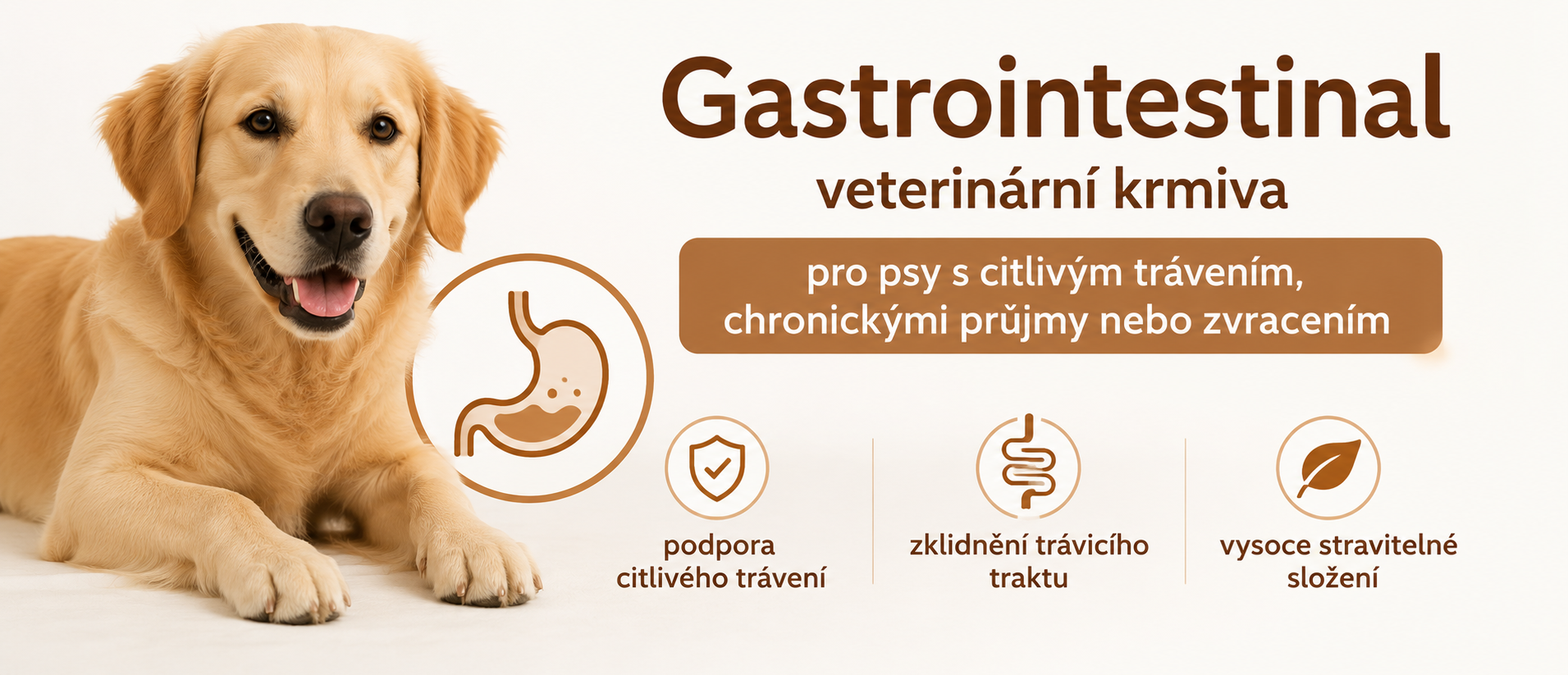 GASTROINTENSTINAL