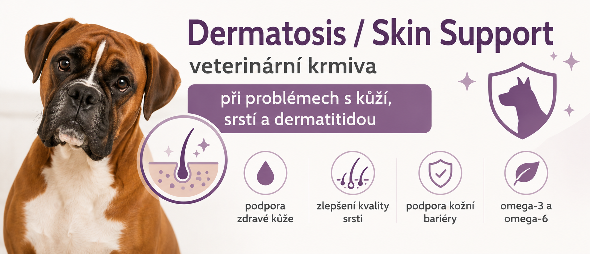 DERMATOSIS/ SKIN SUPPORT 