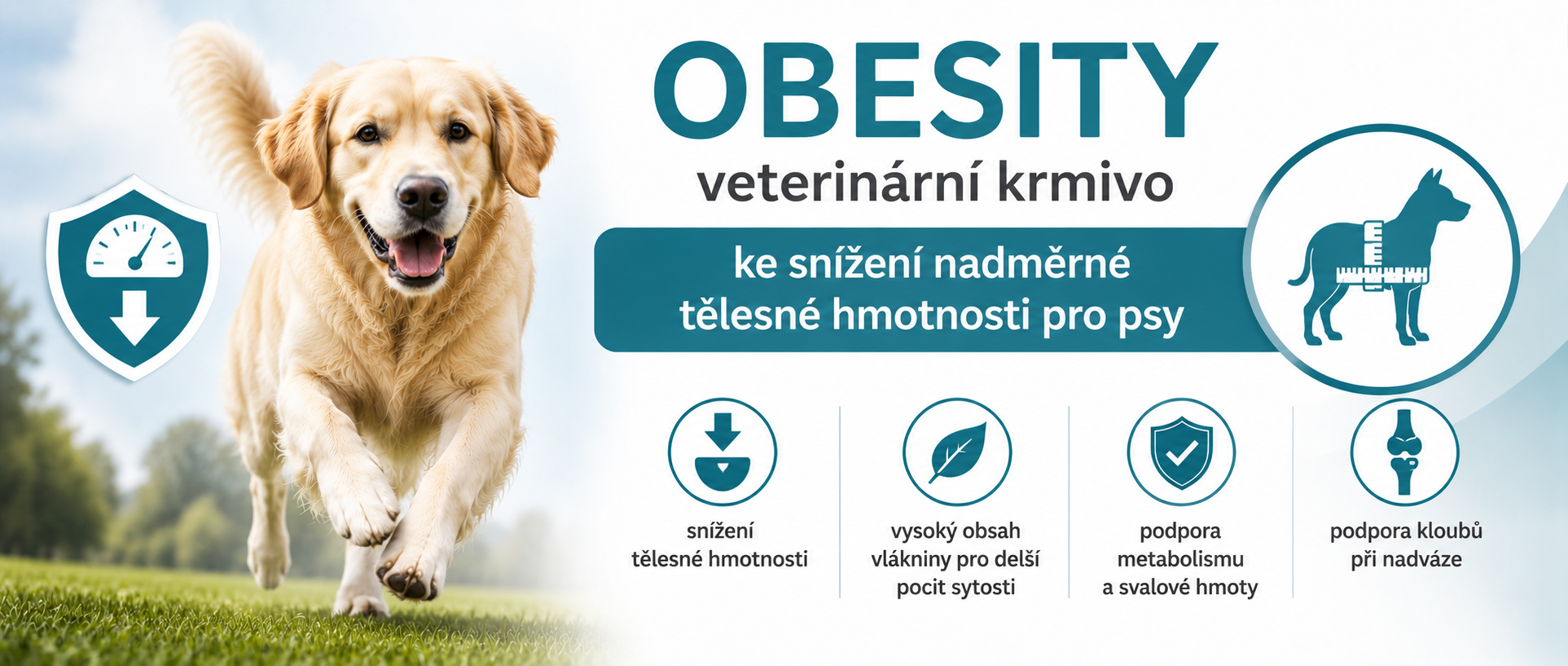 OBESITY