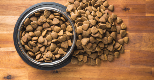 „Grain free vs. klasické granule – co je lepší?“