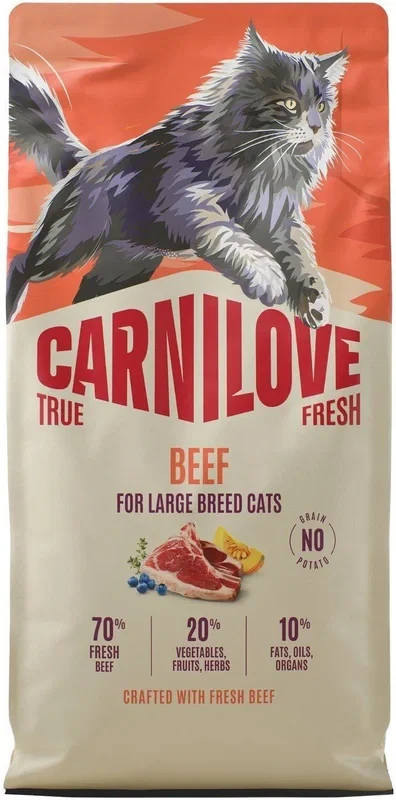 Carnilove Cat True Fresh Dry Beef Adult LB 6kg