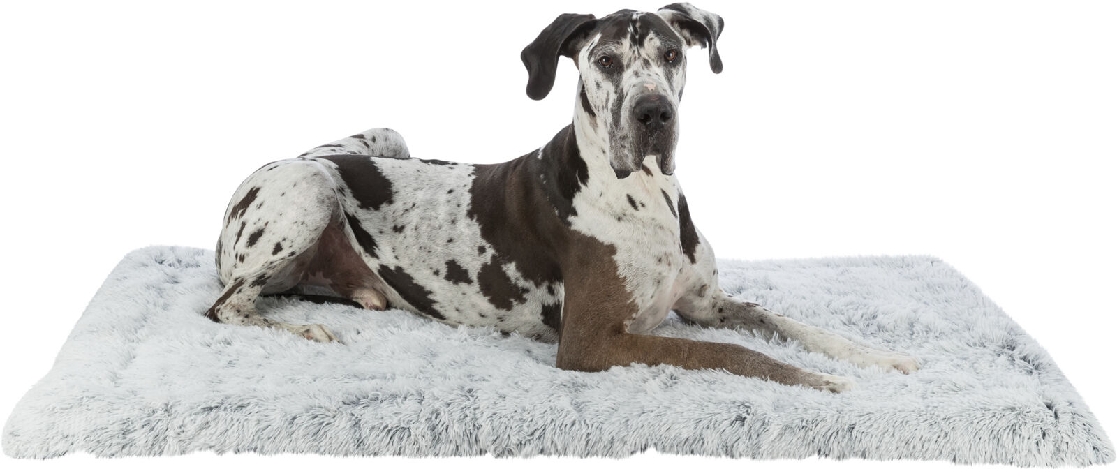 TRIXIE Lehací podložka HARVEY, hebký dlouhý vlas, bílo-černo/šedá 160 x 100 cm