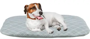 TRIXIE Oválný polštář JESSIE, bavlna/polyester, šedá/bílá 80 x 60 cm