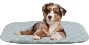 TRIXIE Oválný polštář JESSIE, bavlna/polyester, šedá/bílá 95 x 70 cm