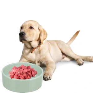 TRIXIE Keramická miska Viviana s letokruhy a srdíčkem, šalvěj 1,4 l/ ø 20 cm