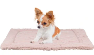 TRIXIE Podložka LONNI, manšestrový plyš, růžová 50 x 35 cm