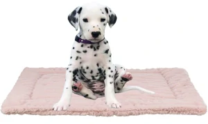 TRIXIE Podložka LONNI, manšestrový plyš, růžová 75 x 55 cm