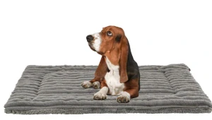 TRIXIE Podložka LONNI, manšestrový plyš, šedá 75 x 55 cm