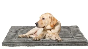 TRIXIE Podložka LONNI, manšestrový plyš, šedá 90 x 65 cm