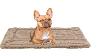 TRIXIE Podložka LONNI, manšestrový plyš, béžová 50 x 35 cm