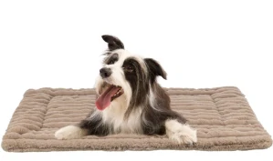 TRIXIE Podložka LONNI, manšestrový plyš, béžová 90 x 65 cm