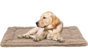 TRIXIE Podložka LONNI, manšestrový plyš, béžová 110 x 75 cm