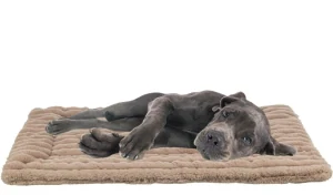 TRIXIE Podložka LONNI, manšestrový plyš, béžová 130 x 90 cm