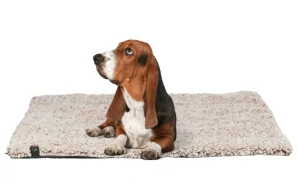 TRIXIE Podložka CALIDA, s tepelně reflexní vložkou, bílo-hnědá 80 x 55 cm