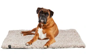 TRIXIE Podložka CALIDA, s tepelně reflexní vložkou, bílo-hnědá 100 x 65 cm