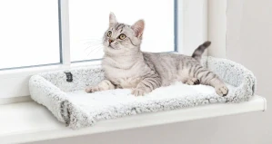 TRIXIE Podložka CALIDA na parapet 60 x 45 cm, s tepelně reflexní vložkou, bílo-šedá