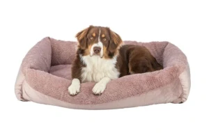 TRIXIE Vánoční sametové lůžko LIVIA Soft s hebkým okrajem, starorůžová 100 x 70 cm