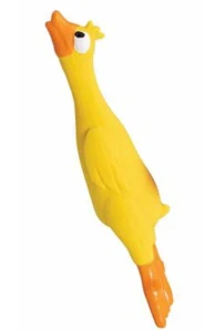 Kachnička se zvukem HipHop 24 cm