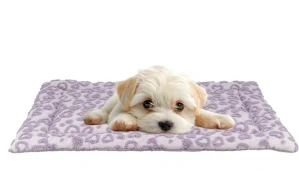 TRIXIE Podložka na ležení HEARTS, 90 x 70 cm, lila - LIMITOVANÁ NABÍDKA