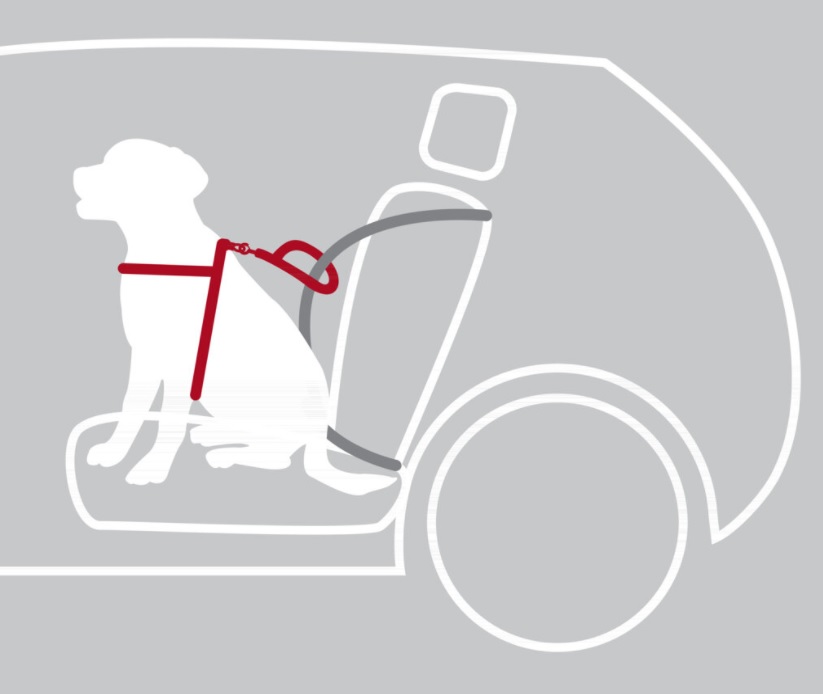 TRIXIE Bezpečnostní postroj do auta L 65-80 cm/23 mm