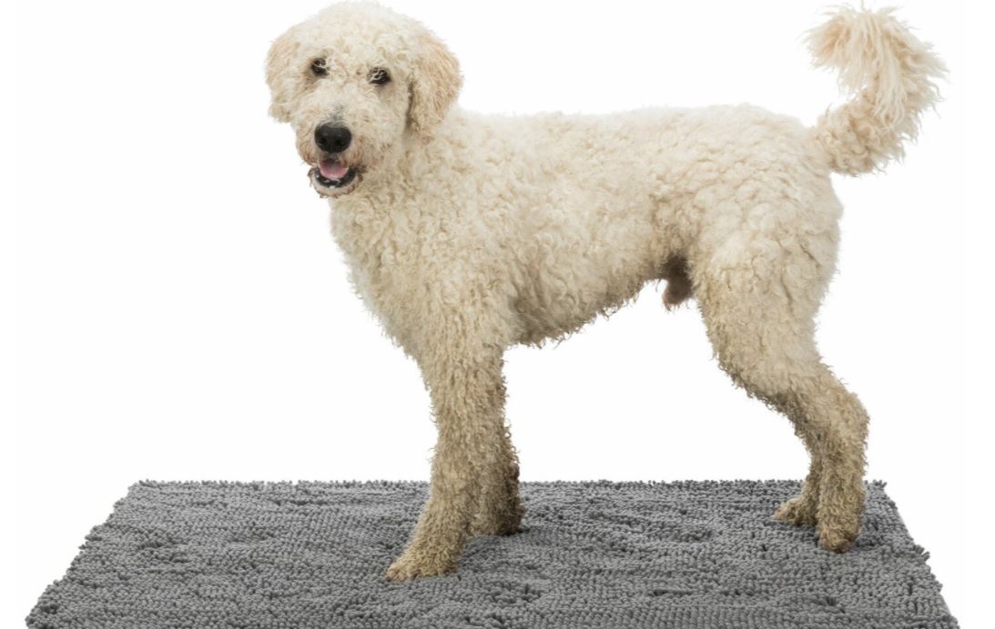 TRIXIE Podložka absorbující nečistoty, voděodolná, šedá 80 x 60cm