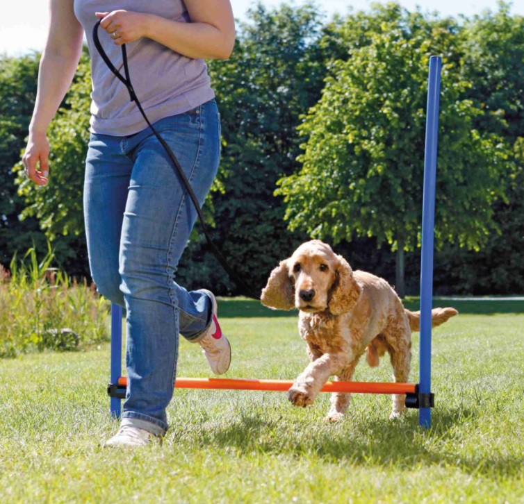 TRIXIE AGILITY překážka, 3 tyče 129x115cm