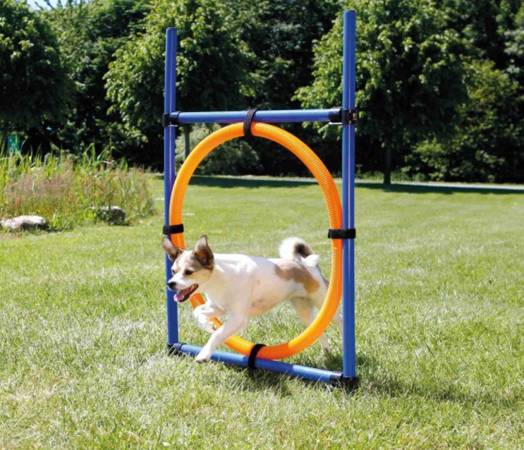 TRIXIE AGILITY kruh proskakovací