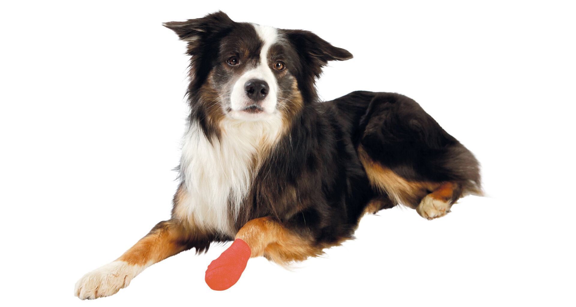 TRIXIE Samodržící bandážová obinadla s hořkou přísadou 5 cm/4,5 m (14x zelen.,13x oranž.) [27 ks]