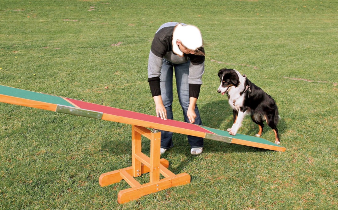 TRIXIE AGILITY houpačka/lávka 300x54x34cm max.do 80kg