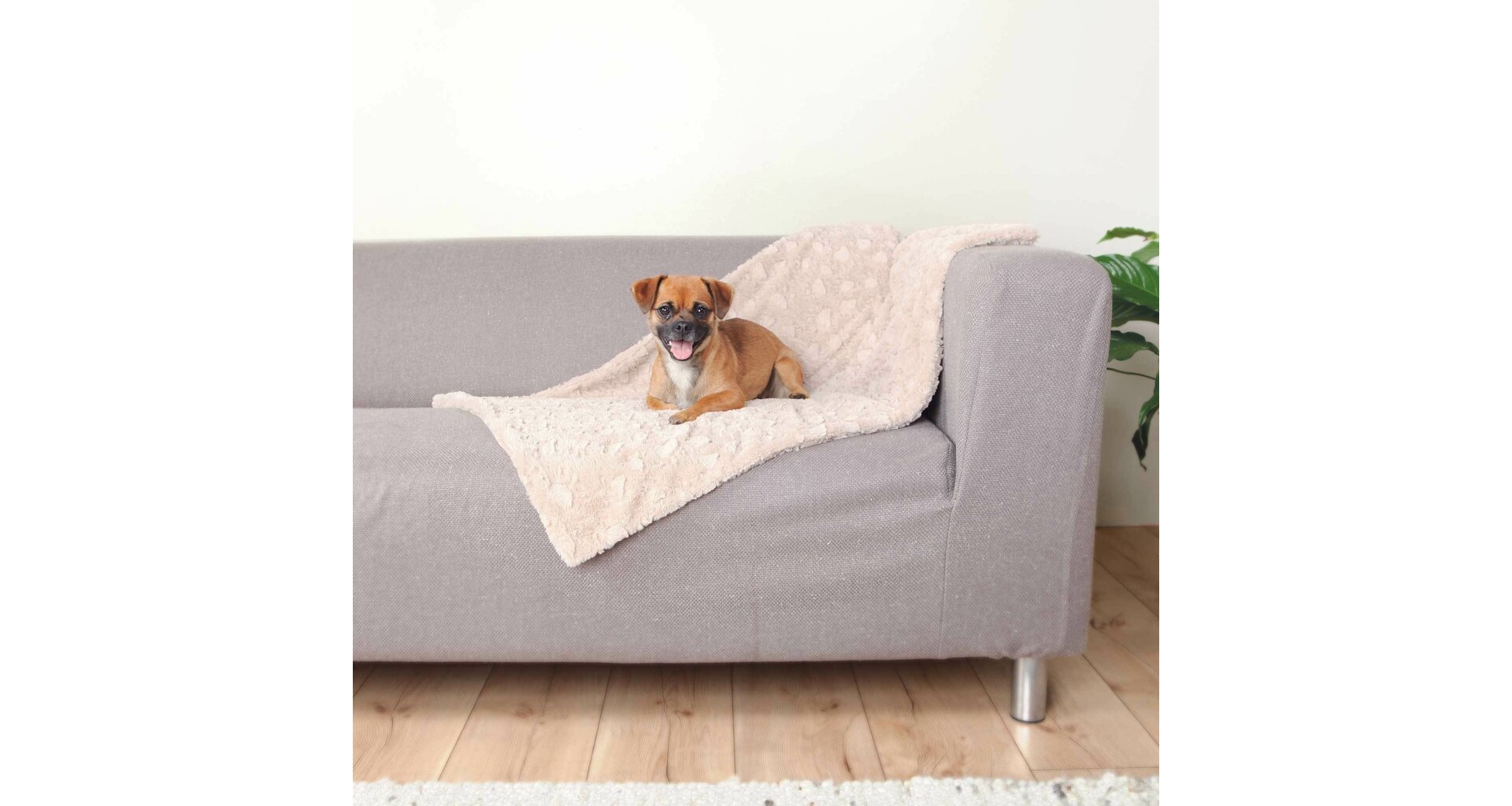 TRIXIE Plyšová deka COSY, béžová 100 x 70 cm