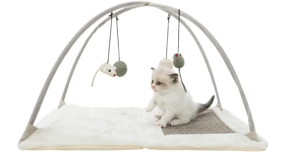 TRIXIE Hřiště, škrabací podložka s hračkou na pružině 60x33x42cm