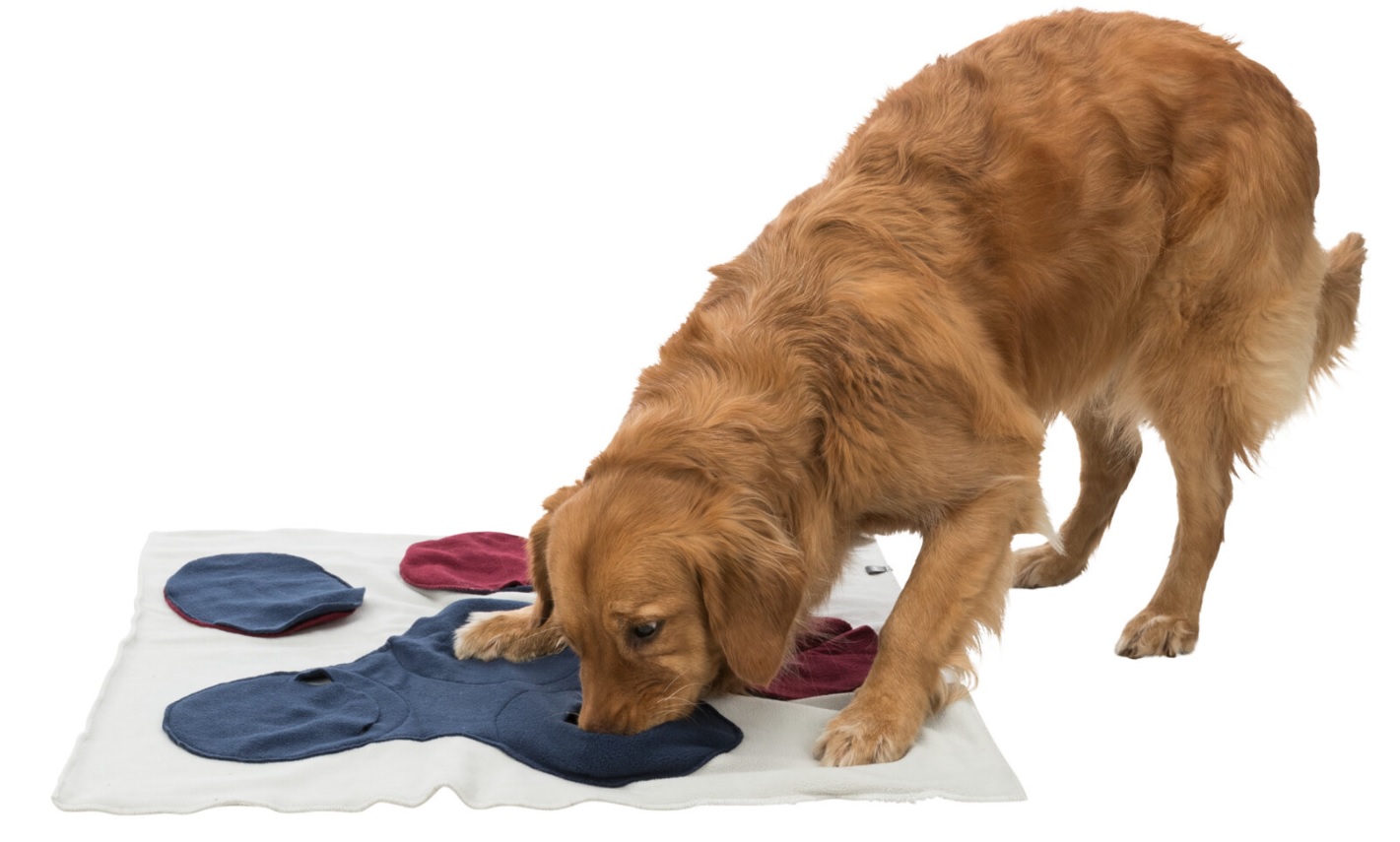 TRIXIE Dog Activity čichací  deka, 70 x 70 cm - DOPRODEJ