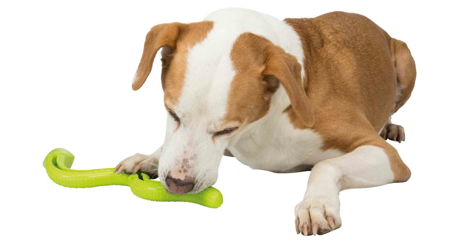 TRIXIE Snack Snake, had na pamlsky, TPR, 42 cm, mix barev