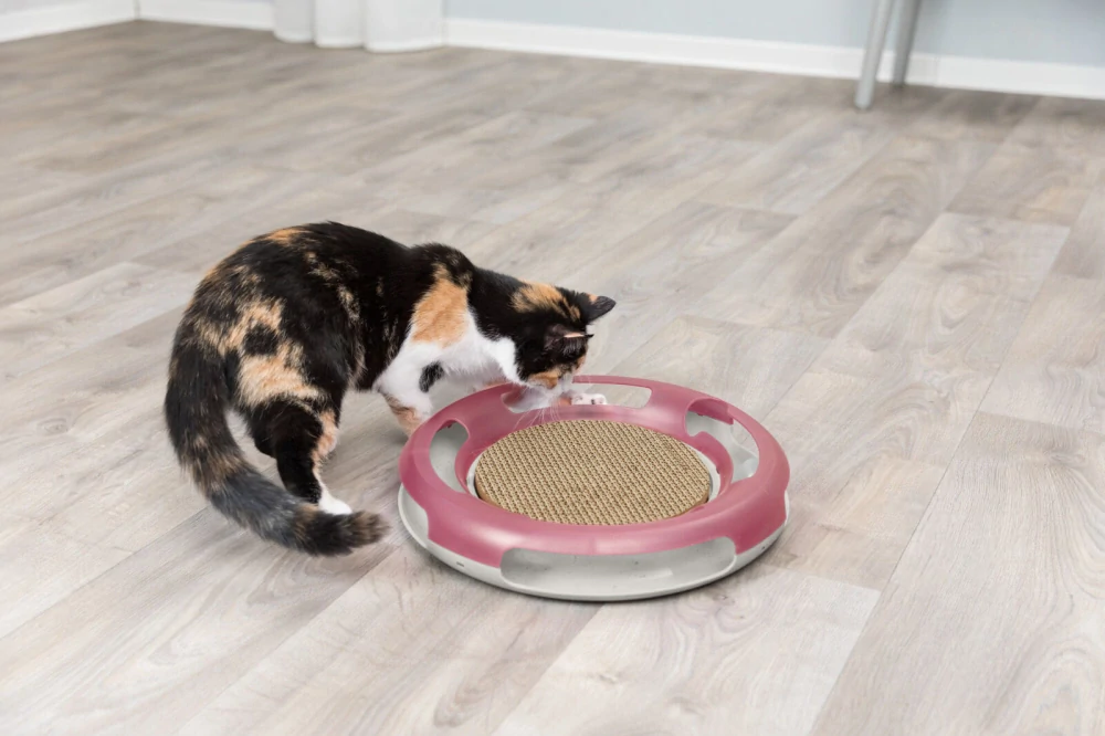 TRIXIE Hračka pro kočku kruh s kuličkou a škrabacím kartonem 37 cm