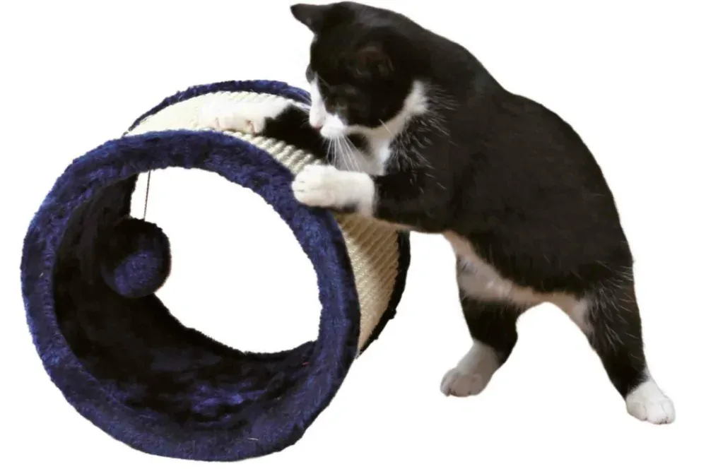 TRIXIE Škrábací ROLL pro kočky 23x20cm - modrý