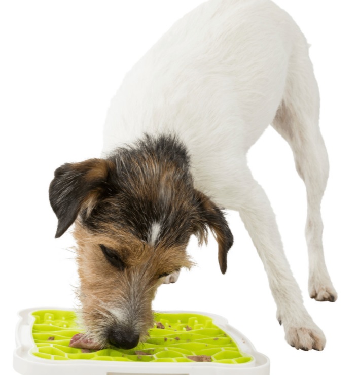 TRIXIE Lízací podložka na pamlsky 20 x 20 cm , TPR/PP