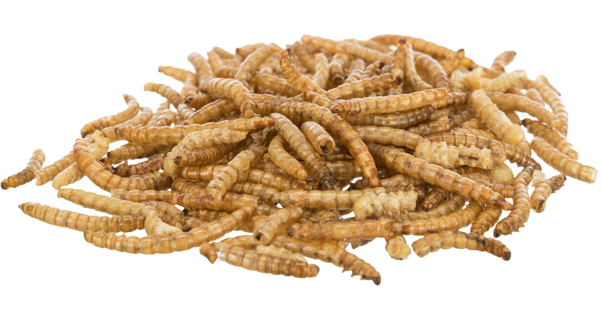 TRIXIE MEALWORMS, mouční červi sušení, 200 g