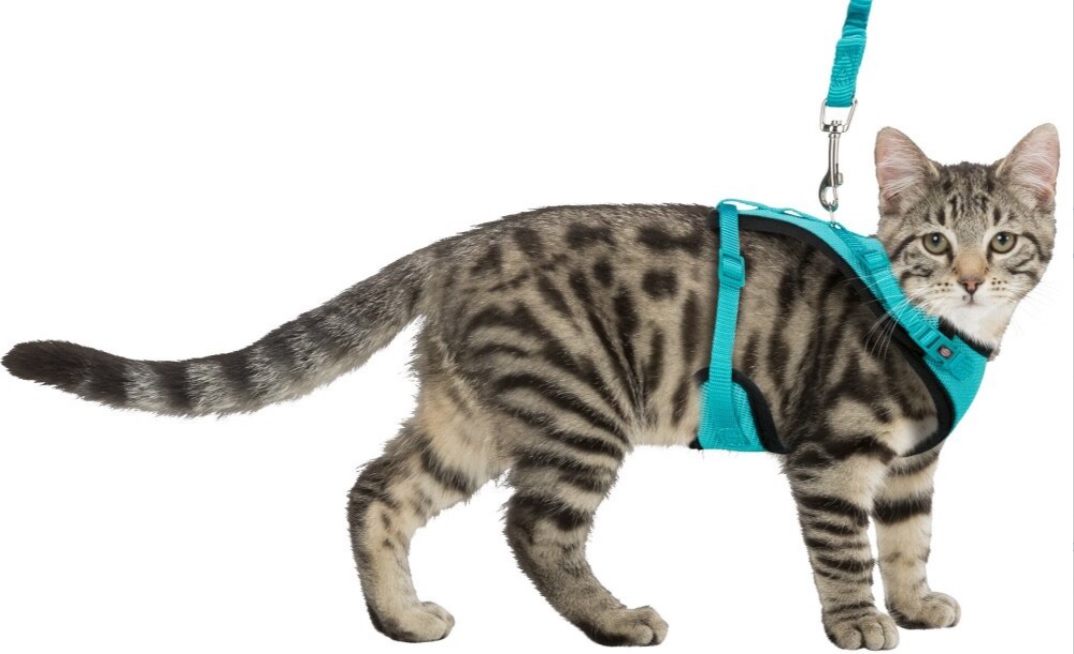 TRIXIE Měkký síťovaný Y-postroj s elastickým vodítkem pro kočku XL 39-60cm / 1,00 m