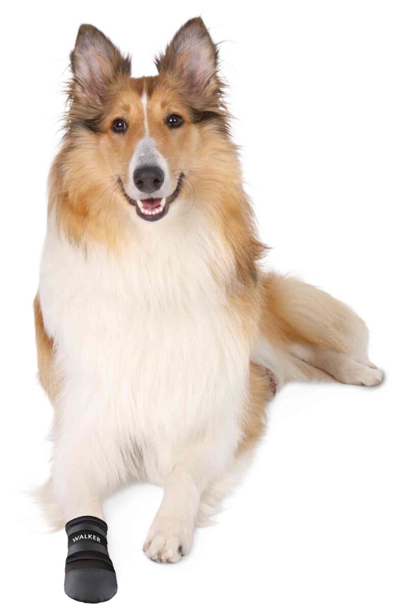 TRIXIE Botičky-neopren 2ks -  XL:např. rhodéský ridgeback