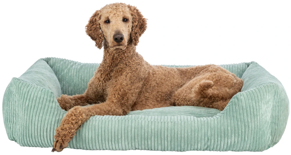 TRIXIE Vital Bed JONNA ortopedický obdélníkový pelech 120 x 80 cm, manšestrový plyš, šalvějová